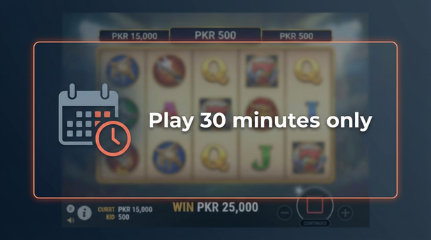 Payment and PKR controls in luckyi8 - 6